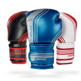 Sanabul Core Boxing Gloves (Blue/Silver, 12 oz)
