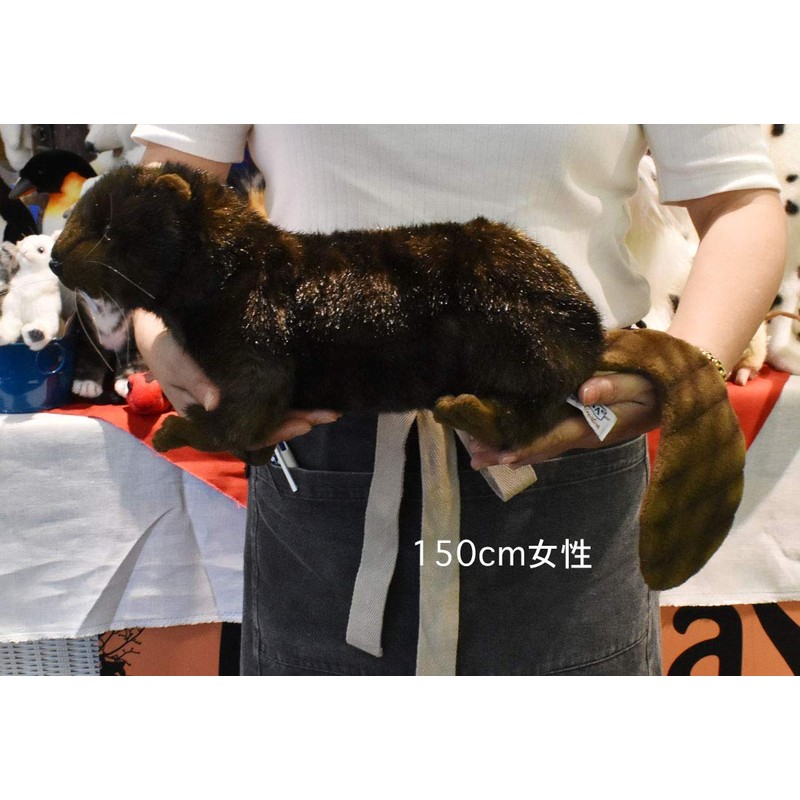 Beaver No.4274 (japan import)