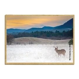 Wildlife Photography Magnet Series – Buck in Frosted Field Rustic Nature Photography Magnets for Fridge, Office, Cooler, Cabin Decor 2.5 x 3.5 inch (SJT09599)
