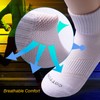 Rich Cotton Men's Multi-Pack Cushioned Performance No Show Socks -