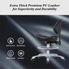 Saddle Chair Rolling Saddle Stool with Back Support, Esthetician Chair