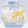 GVS Filter Technology, SEPARA Splashless Filter Vial, PVDF Membrane, 0.2µm,