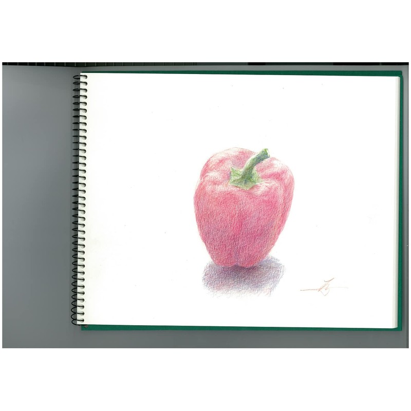 Maruman S20VA vifArt Watercolor Paper Sketchpad, F0, Medium Grain