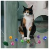 Andiker Cat Toys for Indoor Cats, 4 Big Cat Springs