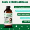 Seizure Support Liquid for Dogs & Cats 100 mL |