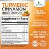 Turmeric Curcumin Supplement Gummies - 95% Curcuminoids with Turmeric Ginger,