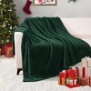 Exclusivo Mezcla Soft Fleece Throw Blanket for Couch, Super Soft