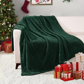 Exclusivo Mezcla Soft Fleece Throw Blanket for Couch, Super Soft Velvet Plush Bed Blanket, Fuzzy Cozy and Warm Blankets for Winter, 50x60 Inches, Forest Green Blanket