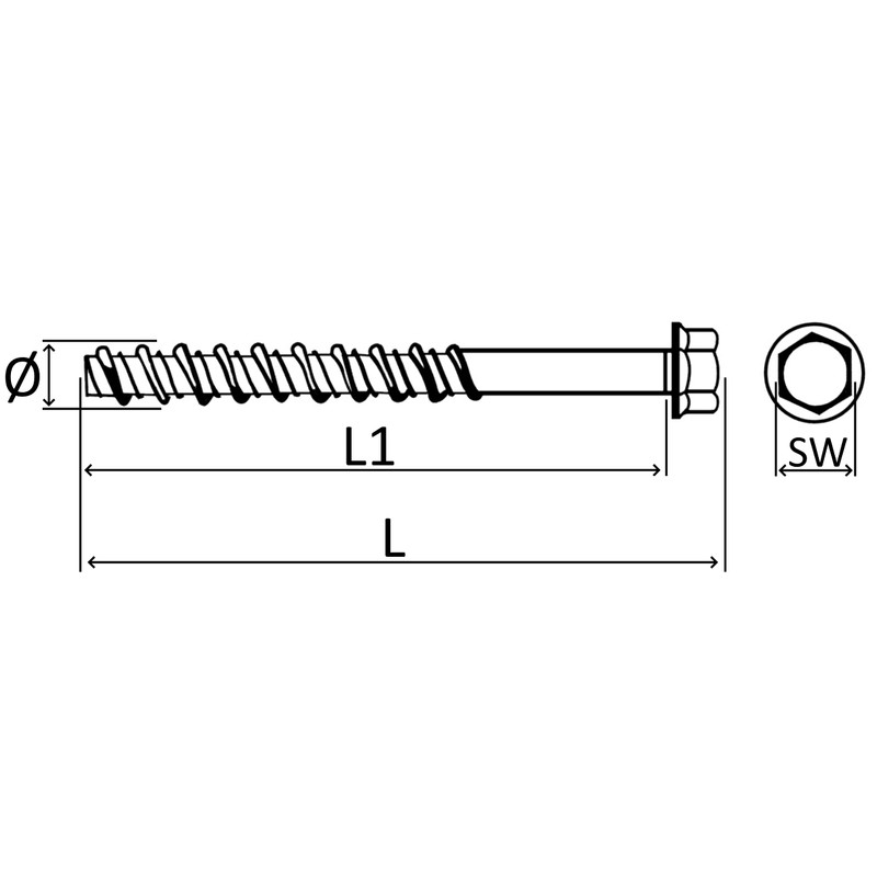 AERZETIX - C57351 - Set of 10 concrete screws with