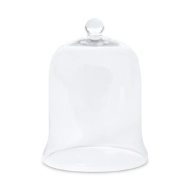 Glass Cloche Bell Jar - Plant Terrarium - Centerpiece Dome Display (12.5" x 9")