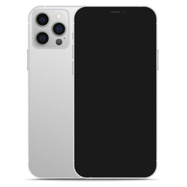 Dummy Premium Display Model Phone 12 Pro and Pro Max | Compatible with Phone Cases (Silver, 12 Pro Max)