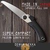 DENKO SEKKA Woodworking Saw Replacement Blade, Japanese Pull Saw for