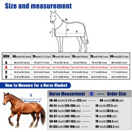 Horse Fly Sheet|Soft Mesh Summer Protection with Advanced UV & Insect Defense (White-66in)