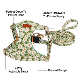 CHEDE No Pull Floral Pattern Dog Harness- Lightweight and Soft Dog Harness, Adjustable Small Dog Harness and Leash Set, with Dog Leash, Suitable for Puppy Small and Medium-Sized Dog (S, Green Daisy)