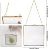 HighFree 6.3x6.3" Double Glass Floating Frame for Dried Flowers Square