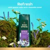 Irish Spring Body Wash, Refresh, Epsom Salts & Lavender Scent,