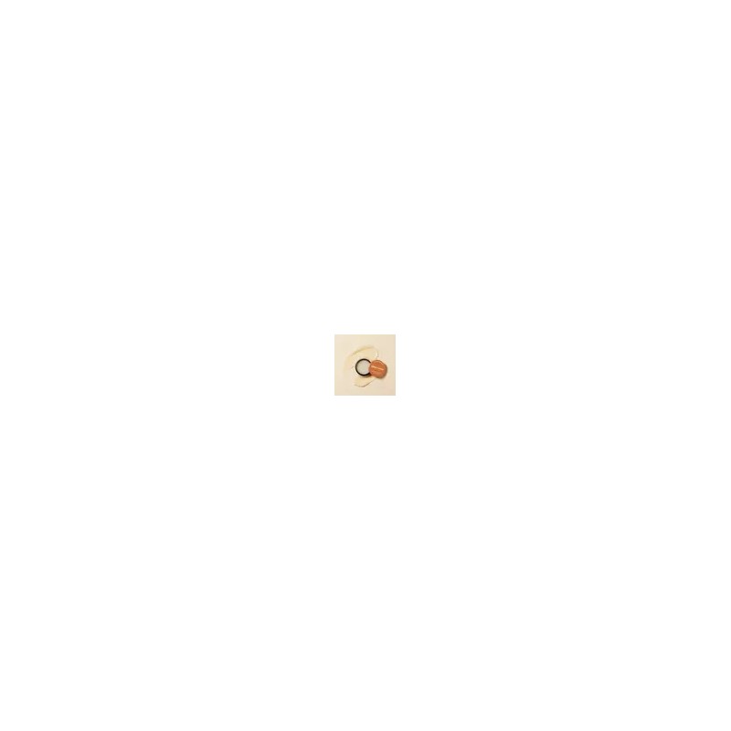 에뛰드 진저슈가 오버나이트 립 마스크 23g x 2개 Ginger Sugar