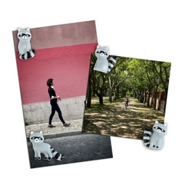 Three by Three Seattle Playful Raccoon Magnets | Adorable, Strong, and Perfectly Sized, Backed with Mighties Magnets, Hand-Painted Set of 8