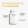 Shiitake (AHCC) - Strengthens the Immune System - Shiitake Mycelium
