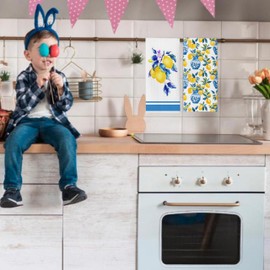 NQDWX Yellow Lemon Blue and White Porcelain Seasonal Spring Summer Kitchen Towels,Dish Towels Drying Cloth Hand Towels for Farmhouse Kitchen Bathroom,16x24 Inches Set of 2.(022)