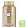 BIOEXPERT Shampoo leo de Coco, recubre el cabello dejndolo radiante