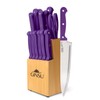 Ginsu Kiso 14-Piece Purple Knife Set with Natural Block -