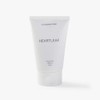 JAJU [JAJU] JAJU Houttuynia cordata Clear Cleansing Foam 100ml /