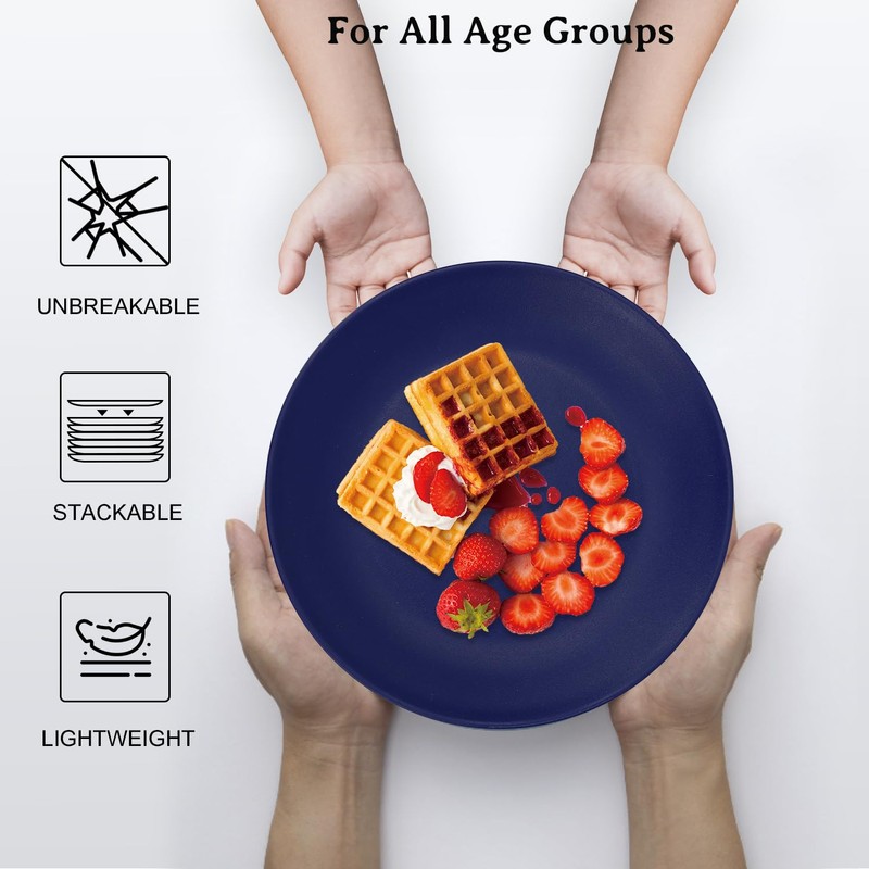 Wrova Wheat Straw Dinner Plates 10 Inch Unbreakable Set of
