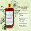 Shampoo Sangre De Grado Romero Y Sábila 1000 Ml Natural