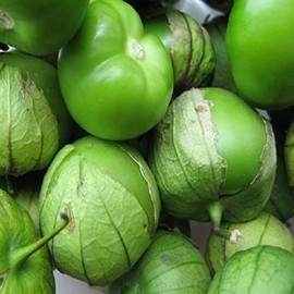 300 Verde Tomatillo Seeds for Planting 0.5+ Grams of Seeds Green Tomatillo Non GMO Heirloom USA Harvested