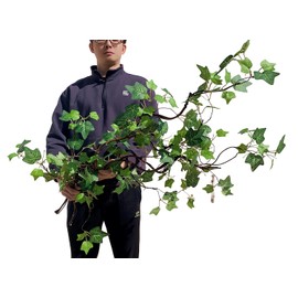 Artificial Rattan Tree Vines with Creeper Leaves Climbing Ivy Branches Grapevines UV Resistant Greenery Garland for Home Garden Landscape wall Hanging Climber Habitat Decor 43” (Green - Pack 4)