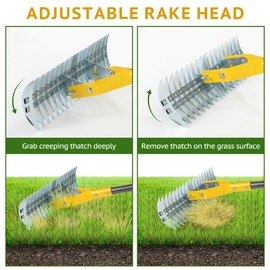 Thatch Rake, 15-Inch Steel Lawn Dethatcher Rake with Handle, Heavy Duty Grass Cleaning Rake for Dead Grass and Soil Loosening, Versatile Yard and Garden Grooming Tool (Green-D)