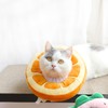 MeowMate Elizabeth Color Cat Small Dog Orange Pet Supplies, Anti-Scratch,
