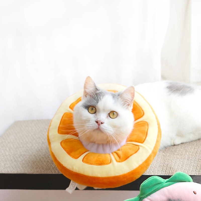 MeowMate Elizabeth Color Cat Small Dog Orange Pet Supplies, Anti-Scratch,