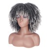PORSMEER Curly Afro Wig Women's Full Fluffy Hair Kinky Curly