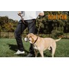 Mighty Paw Martingale Dog Collar - No Pull Design -