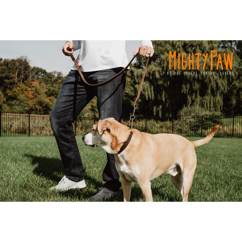 Mighty Paw Martingale Dog Collar - No Pull Design -