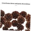 VICASKY 100pcs Christmas Natural Pine Cones - Thanksgiving Mini Pinecones
