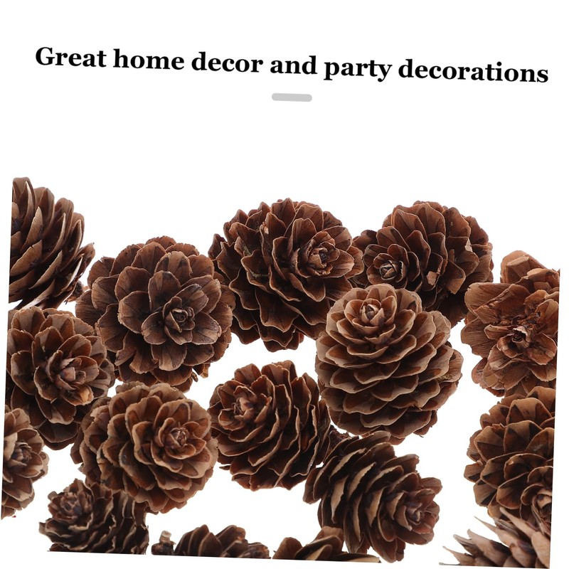 VICASKY 100pcs Christmas Natural Pine Cones - Thanksgiving Mini Pinecones