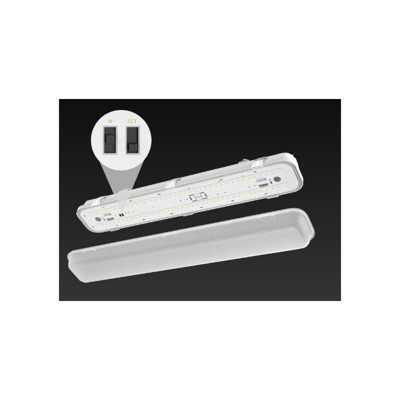 RAB SEAL4 Field-Adjustable Washdown, 3500K/4000K/5000K (4 Foot)