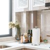OctBird Stainless Steel Vertical Paper Towel Holder with Suction Cup,Kitchen