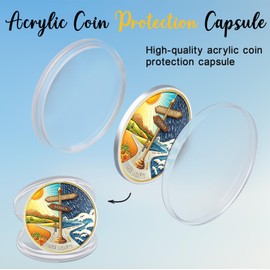 CHURYUML 1 Month Sobriety Coin 30 Day Chip Non-Religious AA Coins Original Hope or Storm AA Medallions One Month Sobriety Gifts for Women Men Alcoholics Anonymous Addiction Recovery Gift