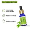 Rey Naturals Tea Tree Essential Oil for Skin, Hair and