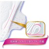 Sofy Hadamoi 9.1 inches (23 cm) with wings, 20 sheets