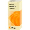 Synergon Complex 2 Cineraria Maritima N Drops 50 ml