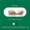 TIBA SALUD - Té Verde: Complemento alimenticio básico, la fuente