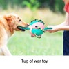 Interactive Outdoor Fly Ball Flying Saucer Ball Interesting Dog Soccer