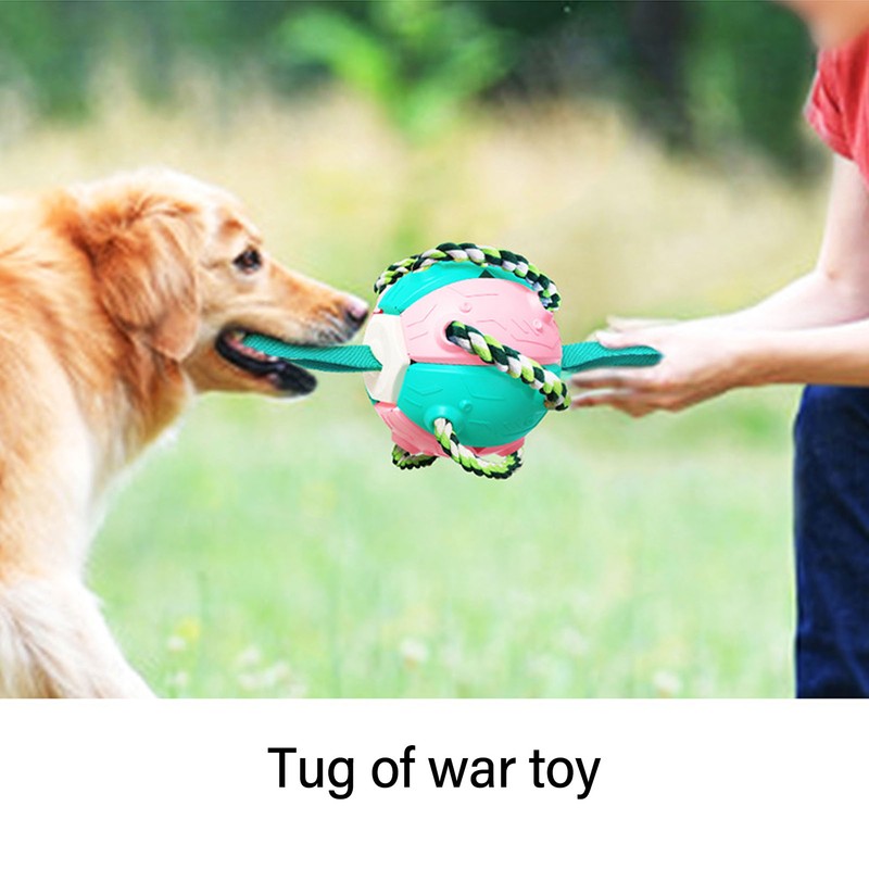 Interactive Outdoor Fly Ball Flying Saucer Ball Interesting Dog Soccer