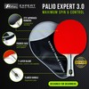 Palio Expert 3.0 Table Tennis Bat & Case | ITTF