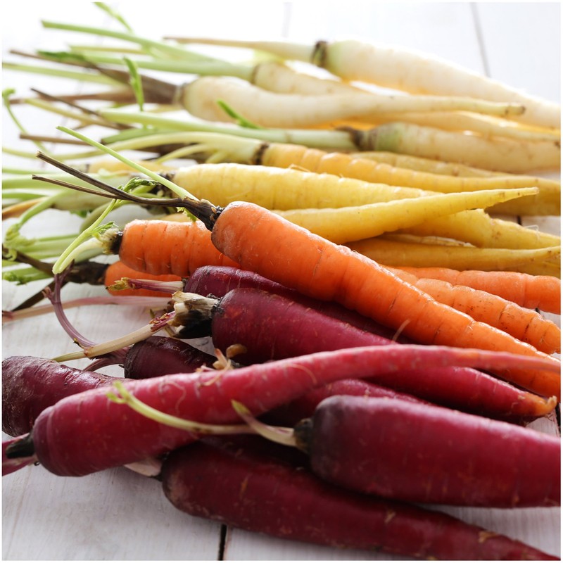 Seed Needs, Kaleidoscope / Rainbow Blend Carrot Seeds for Planting